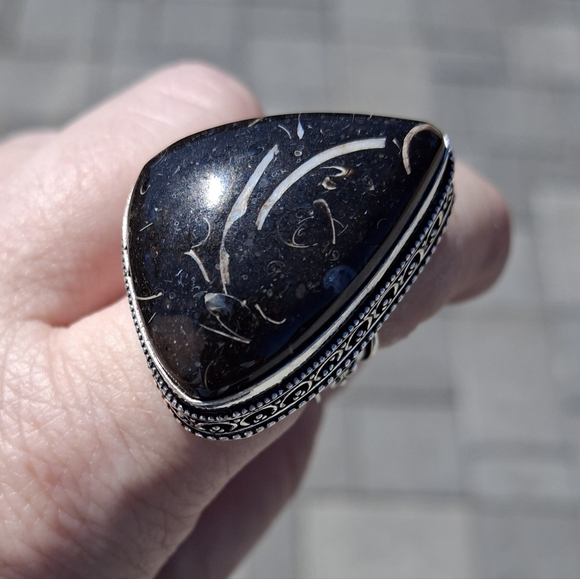 New Turritella Agate Fossi Silver Ring. - Picture 10 of 12